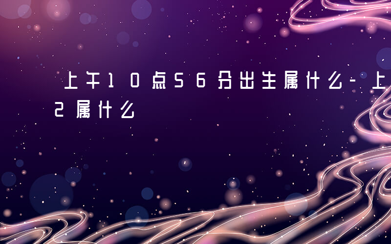 上午10点56分出生属什么-上午10 52属什么